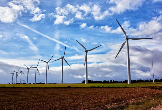 przykładowe zdjęcie pola z wiatrakami energii odnawialnej