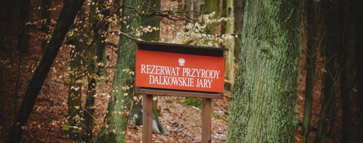 Zdjęcie z tabliczką Rezerwat Przyrody Dalkowskie Jary.