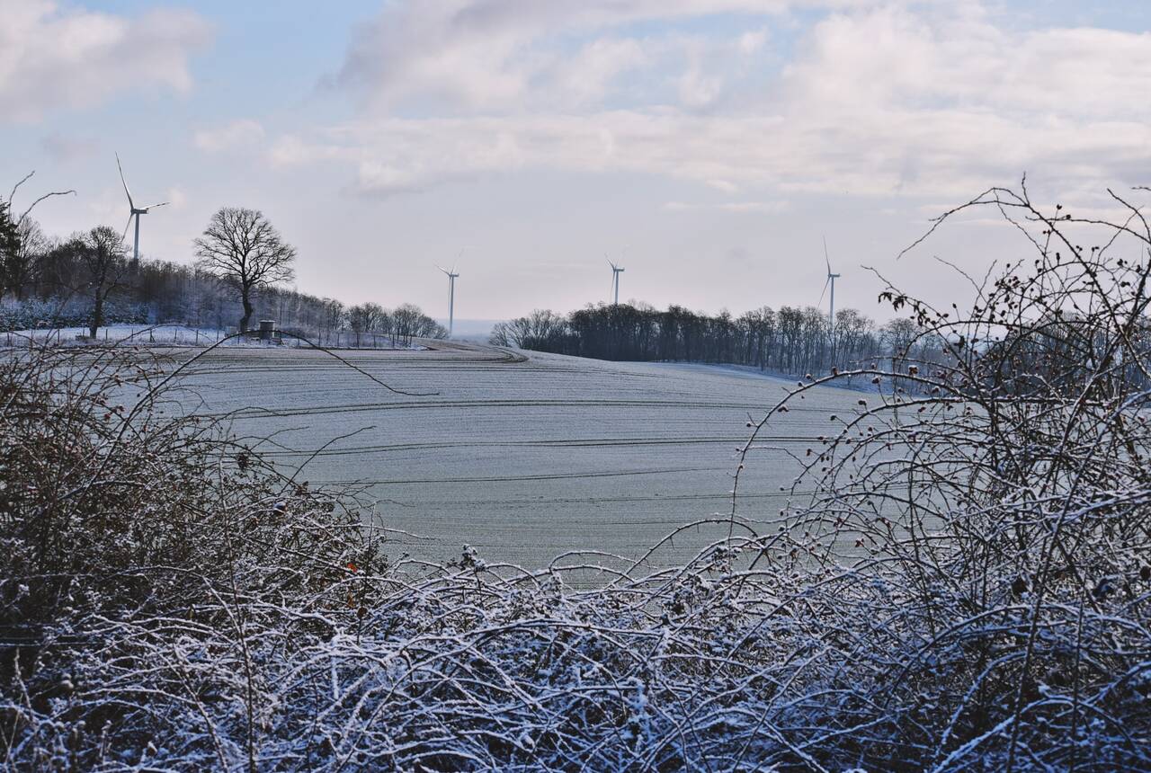 Na zdjęciu widać zimowy krajobraz z gminy Gaworzyce, na którym widać wiatraki zlokalizowane w sąsiedniej gminie Żukowice.