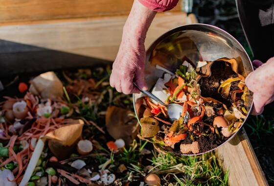 Osoba, która umieszcza w kompostowniku odpady kuchenne takie jak warzywa owoce, skorupki jaj, kawy w celu sortowania i wytwarzania bio nawozów