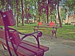 ławeczki miłości zlokalizowane w gaworzyckim parku