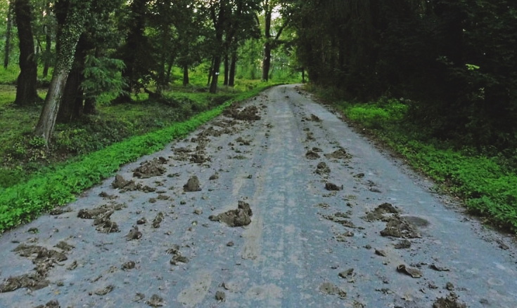 Przykładowe zdjęcie prezentujące błoto pozostawione na drogach przez rolników.
